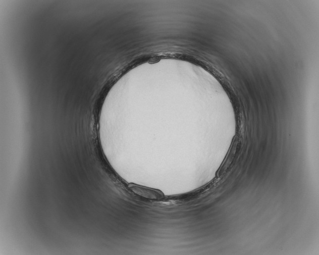 X0000110860411200907091344