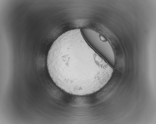 X0000110860413200907091344