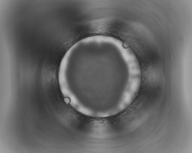 X0000110860415200907091344