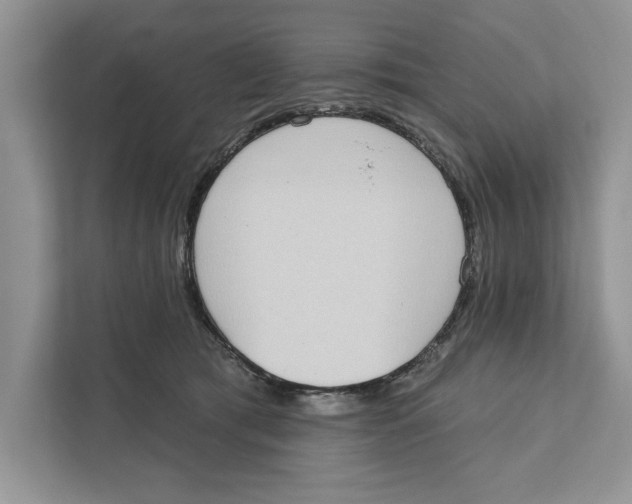 X0000110860417200907091344