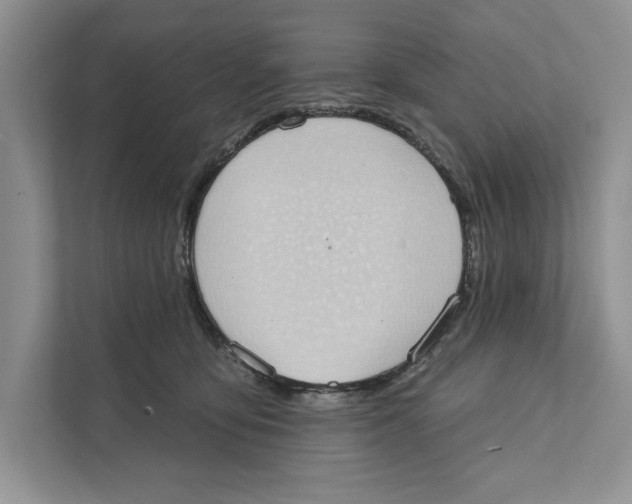 X0000110860419200907091344