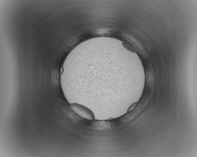 X0000110860421200907091344