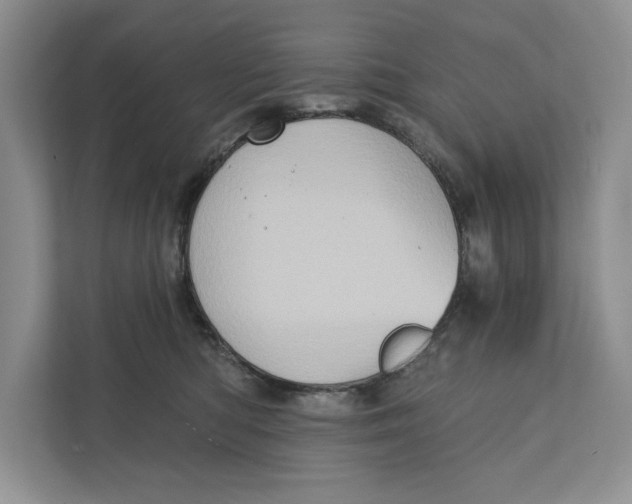 X0000110860422200907091344