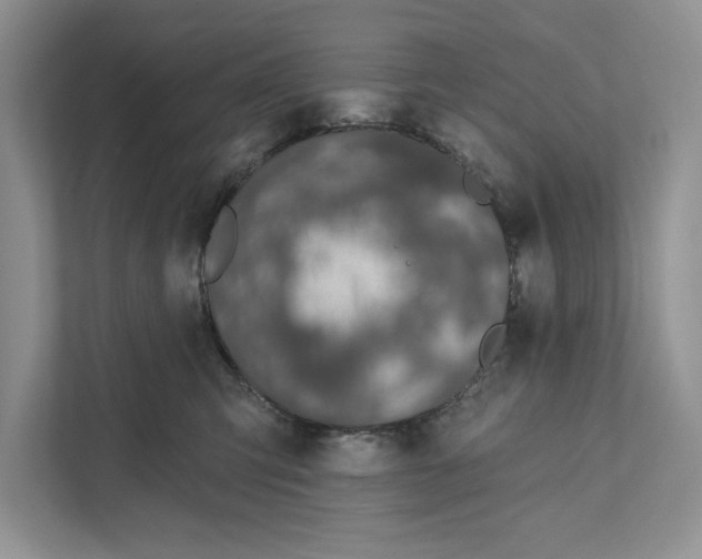 X0000110860423200907091344