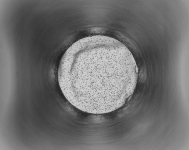 X0000110860424200907091344