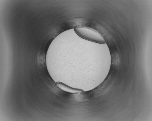 X0000110860425200907091344