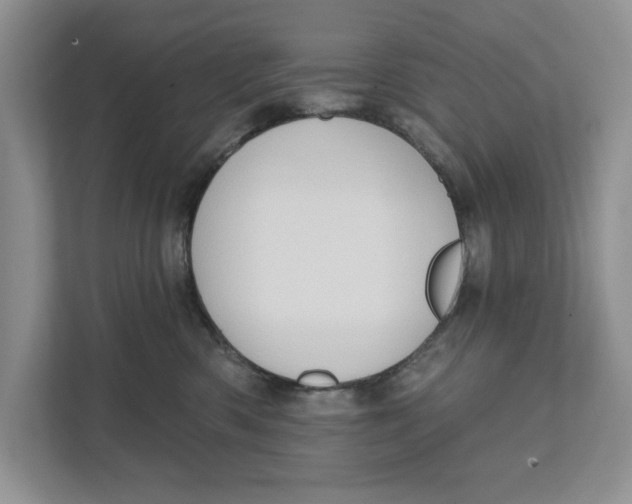 X0000110860426200907091344