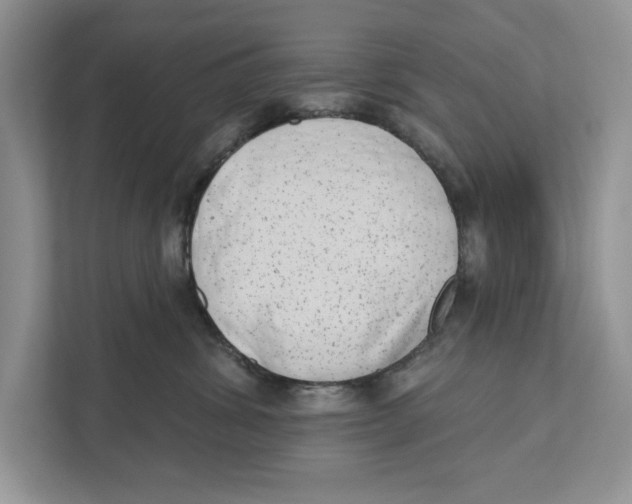 X0000110860428200907091344