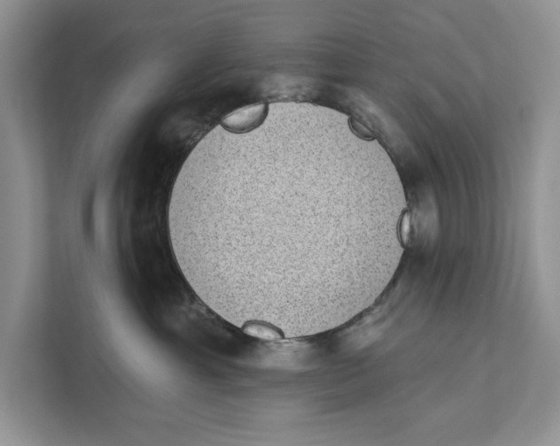 X0000110860429200907091344