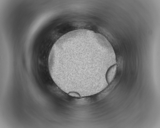 X0000110860430200907091344