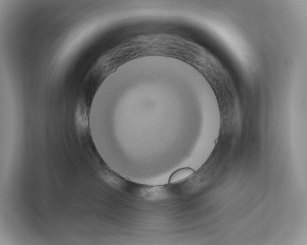 X0000110860431200907091344