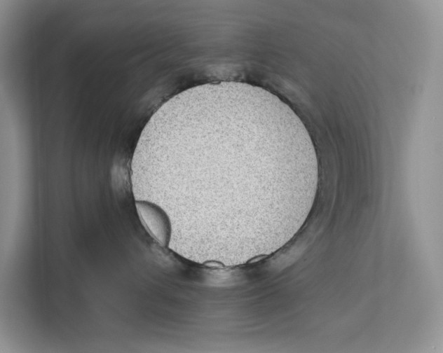 X0000110860432200907091344