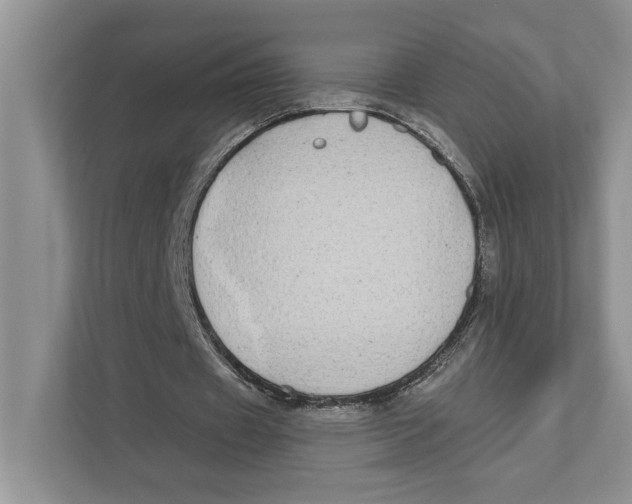 X0000110860433200907091343