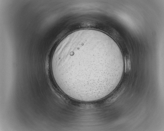 X0000110860435200907091343