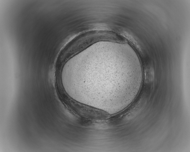 X0000110860436200907091343