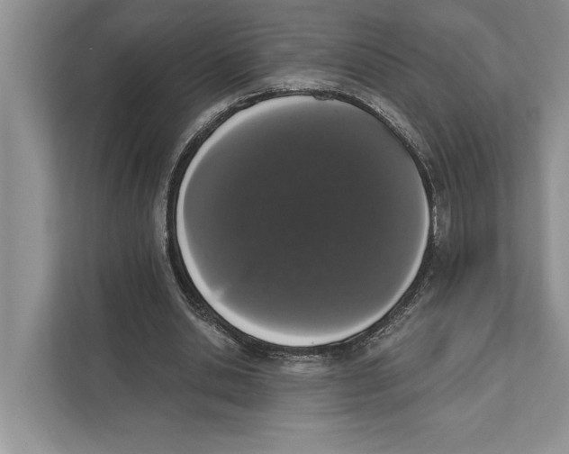 X0000110860438200907091343