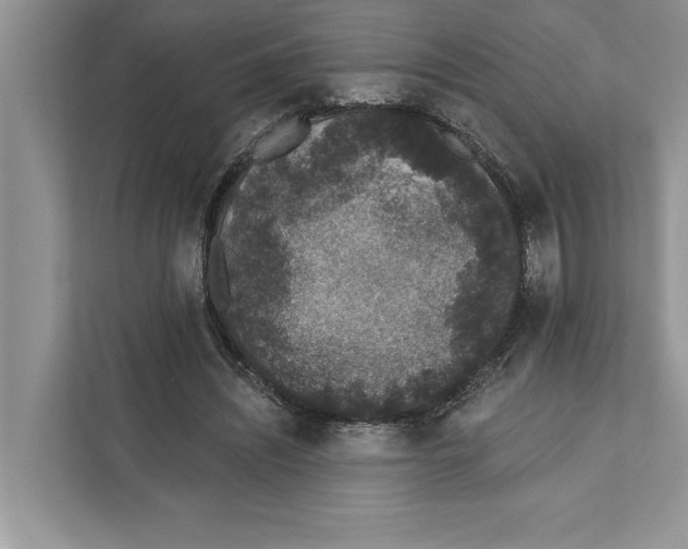 X0000110860444200907091343