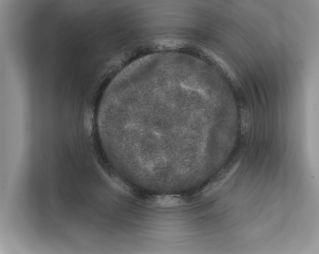 X0000110860451200907091343