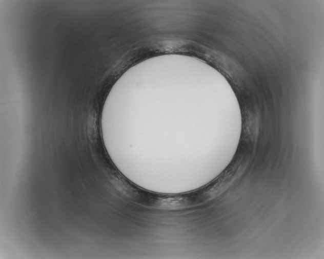 X0000110860461200907091344