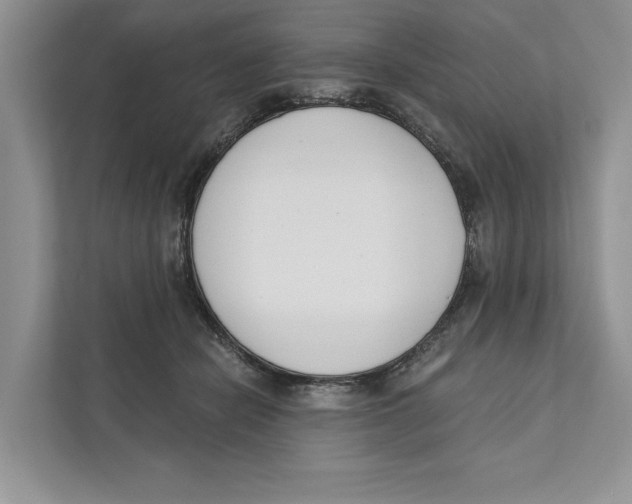 X0000110860462200907091344