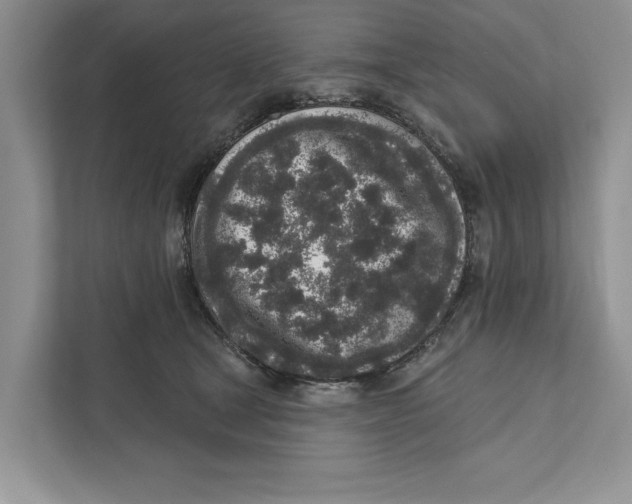 X0000110860465200907091344