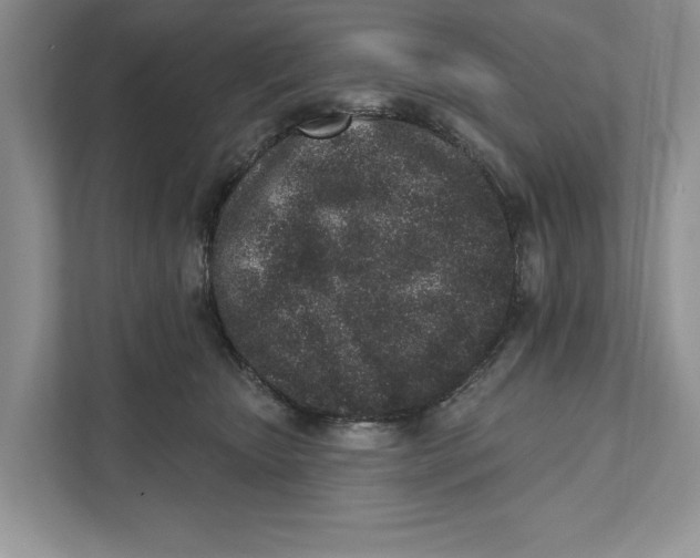 X0000110860467200907091344