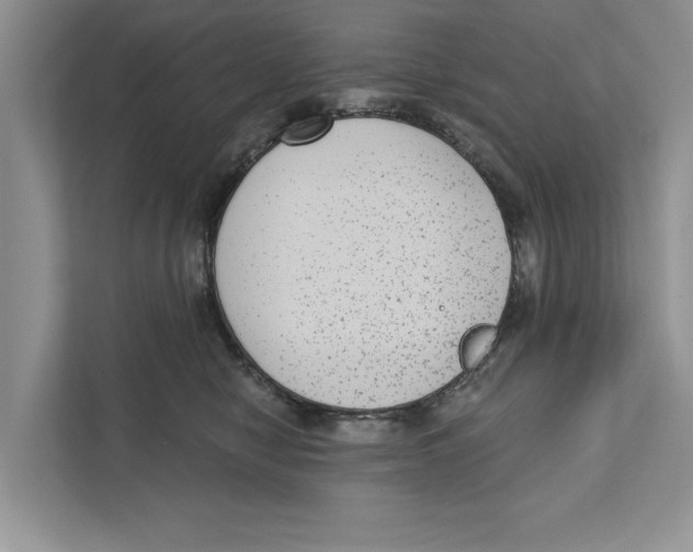 X0000110860470200907091344