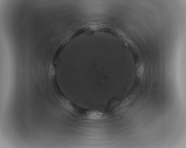 X0000110860471200907091344