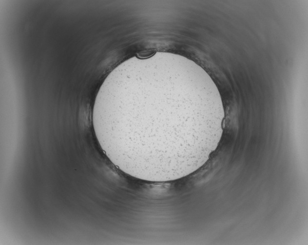 X0000110860474200907091344