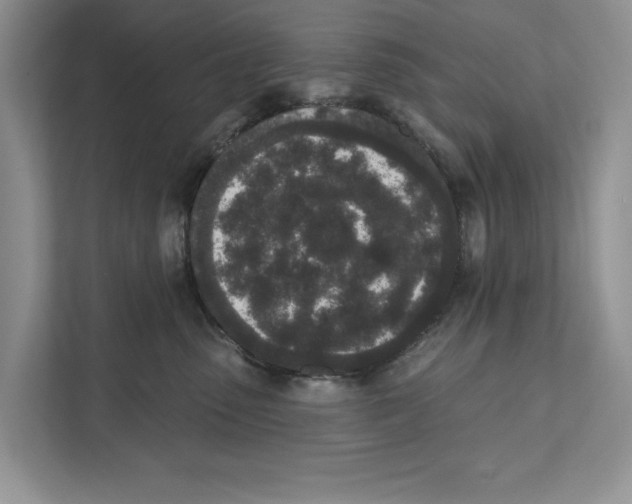 X0000110860475200907091344