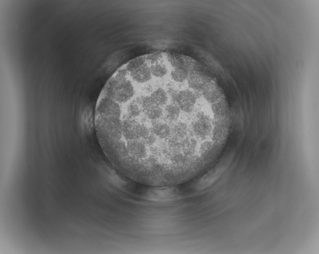 X0000110860479200907091344