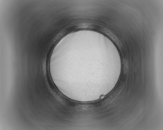 X0000110860482200907091343