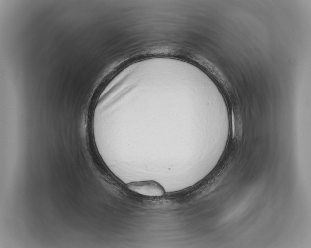 X0000110860483200907091343