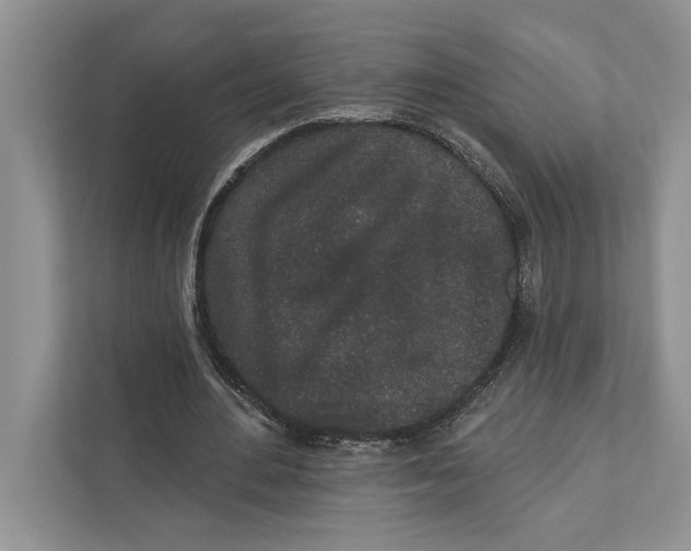 X0000110860484200907091343