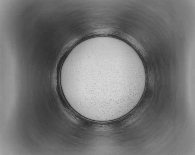 X0000110860486200907091343