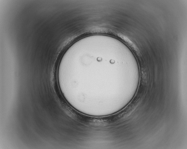 X0000110860487200907091343