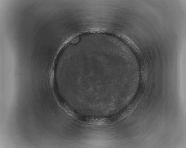 X0000110860488200907091343