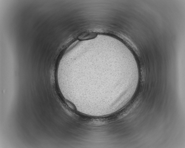 X0000110860489200907091343