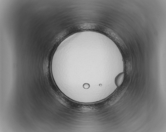 X0000110860490200907091343