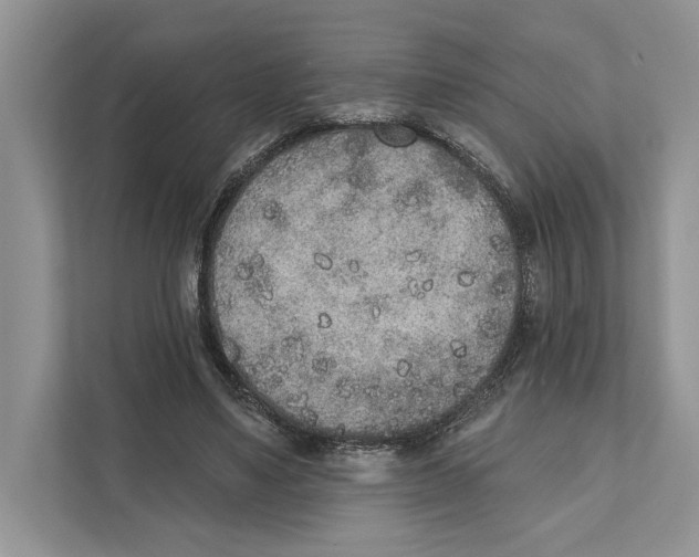 X0000110860491200907091343