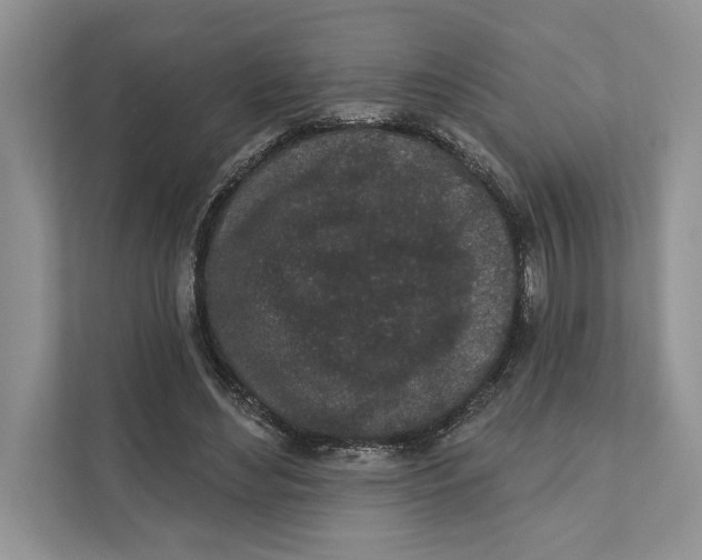 X0000110860492200907091343