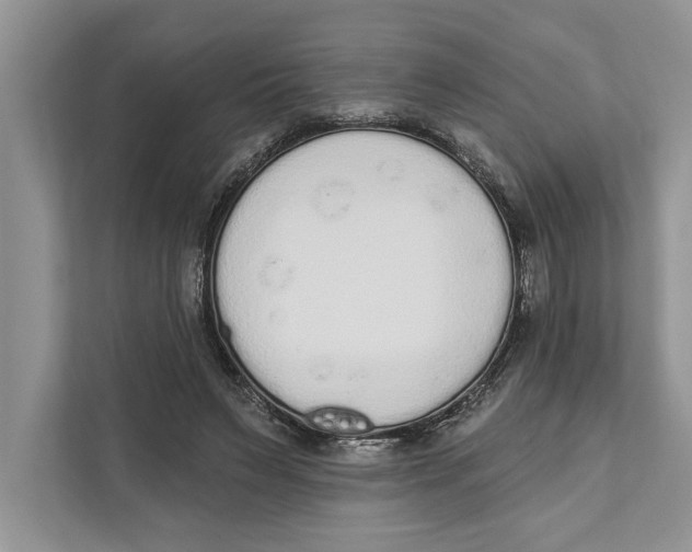 X0000110860495200907091343