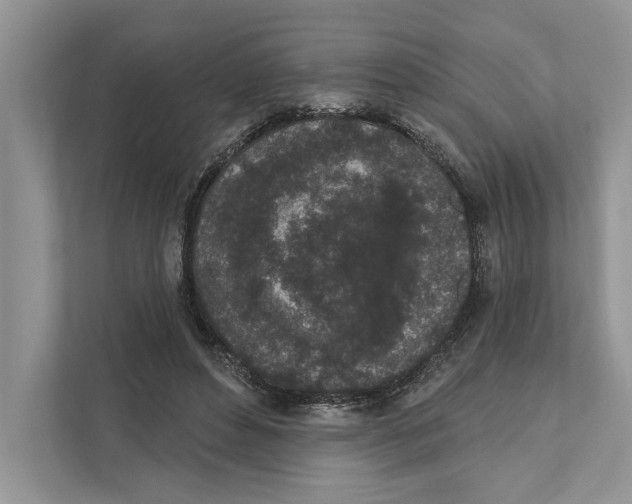 X0000110860496200907091343