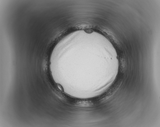 X0000110860499200907091343