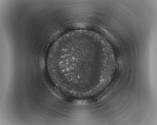 X0000110860500200907091343