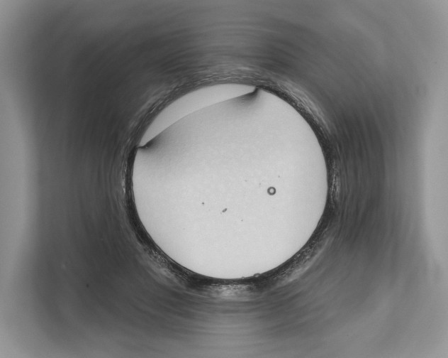 X0000110860501200907091343