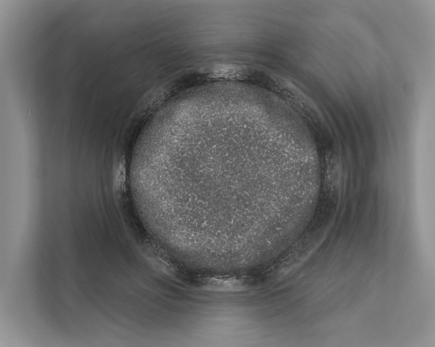 X0000110860502200907091343