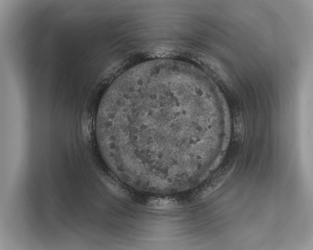 X0000110860503200907091343