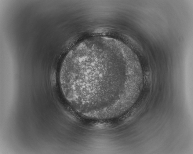 X0000110860504200907091343