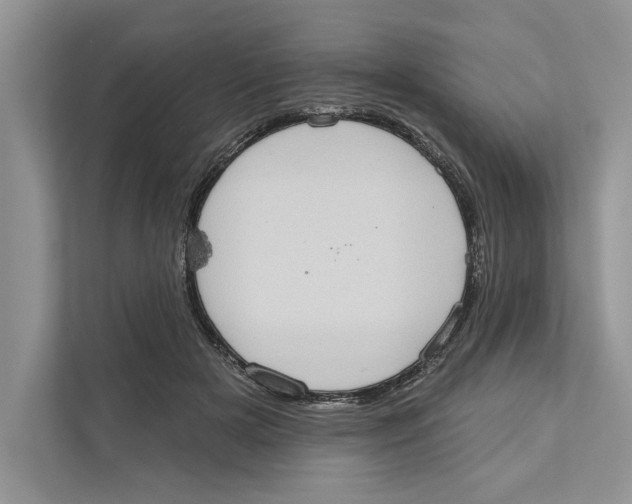 X0000110860505200907091343